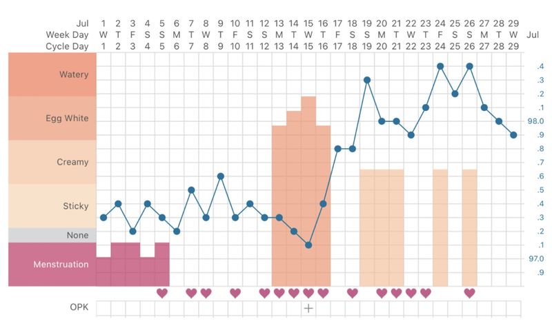 Basal Body Temperature Tracking: 6 Months of Data