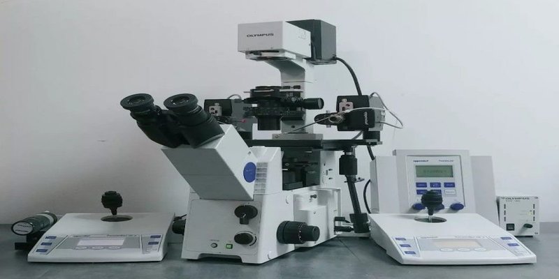 Frozen embryo transfer: why it's now the preferred choice