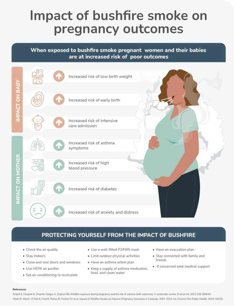 Wildfire Smoke Pregnancy Protection